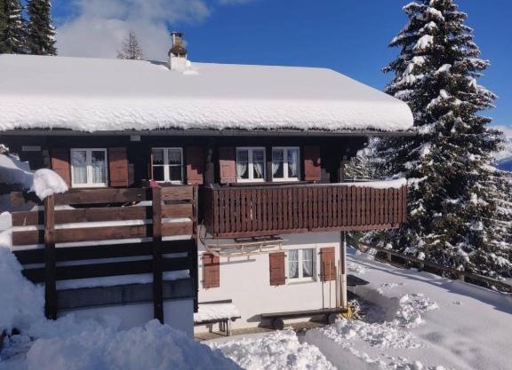 Chalet Grazia