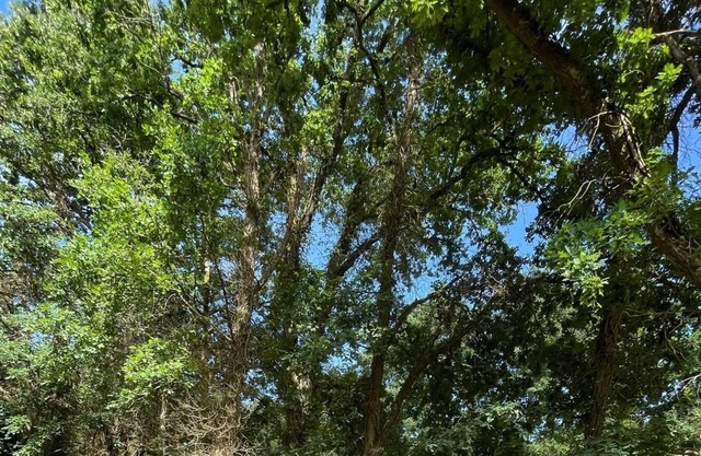 Vrbo Property