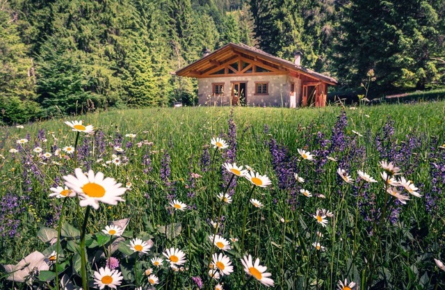 Vacation Home en Massimeno con 2 habitaciones, capacidad 4