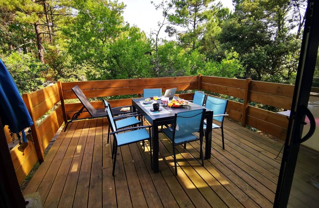 Chalet overlooking the pine forest
