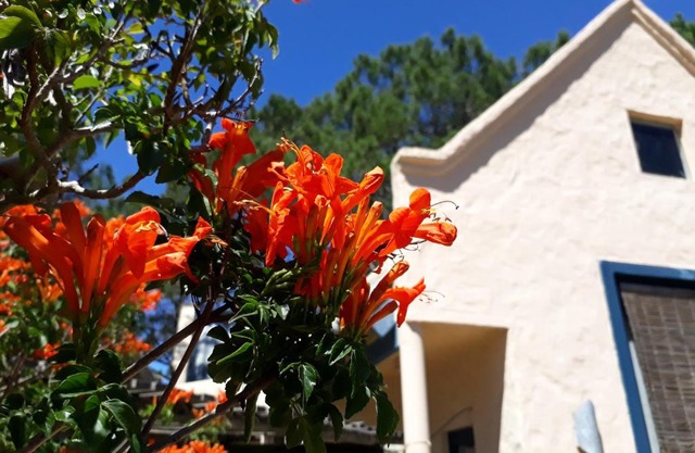 Chalets del Bosque