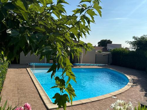 Charmant pavillon avec piscine et animaux acceptés - Sorède - FR-1-732-32