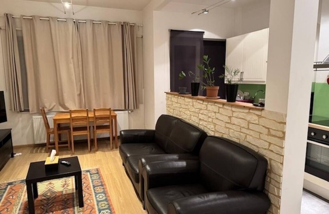 Charming 1 bedroom apartment in Bruxelles. Grand Place and Gallery Royal area.