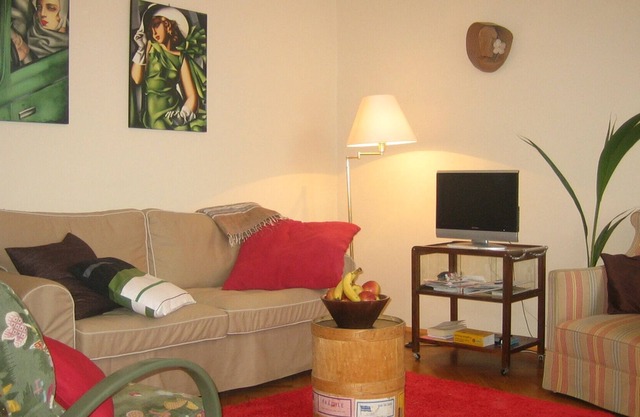 Encantador apartamento en el corazón de Viena.