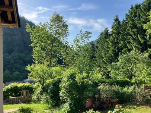 Charming 18th Century Wooden cottage