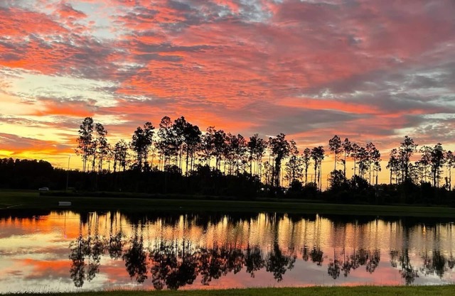 Charming brand new 4-bedroom house with a pond view. Close to Tampa and Orlando.