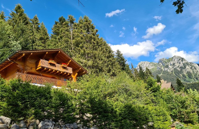 Encantadora casa de campo en el complejo de la familia entre las montañas y el lago de Ginebra