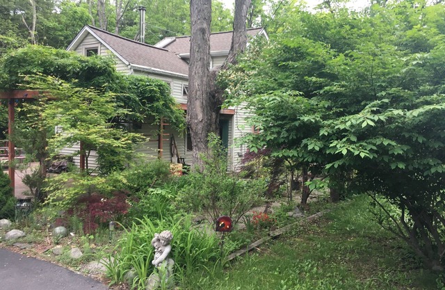 Encantadora, cómoda casa en Woodstock