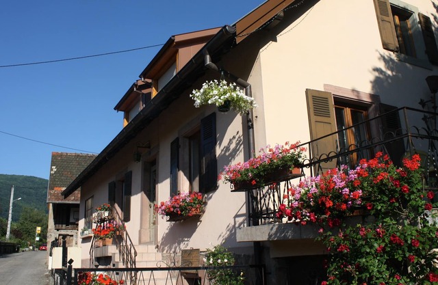 Encantadora casa tranquila en un pueblo vinícola. Casa con encanto en