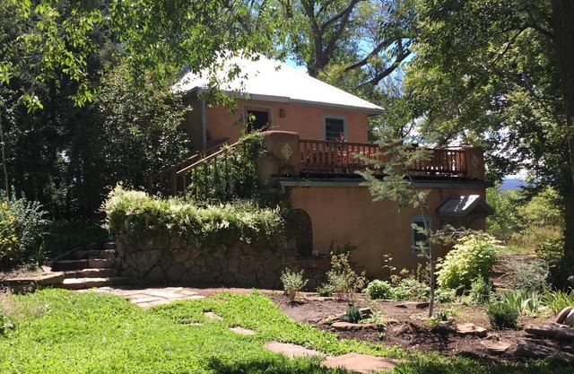 Encantador estudio de taos en los árboles