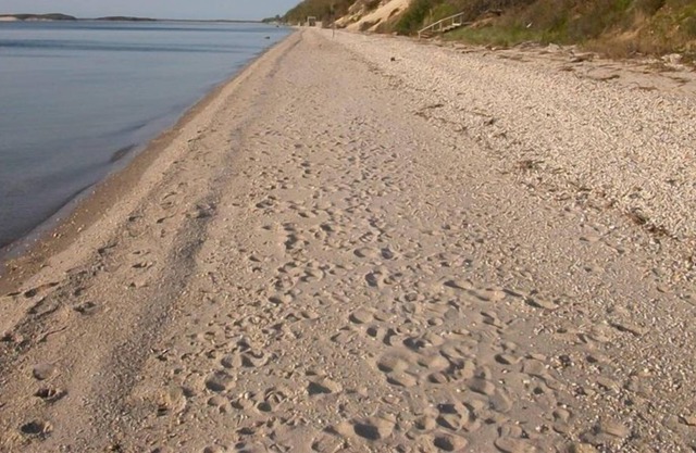 Cabaña clásica en la playa de Hamptons