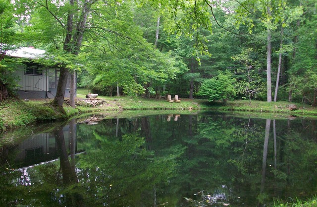 Cabina limpia y cómoda en Rushing Creek w / Private Swim Pond