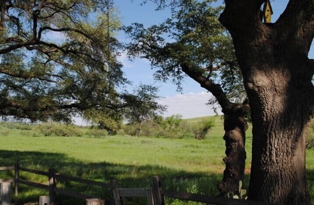 Cerca de bodegas, carnicerías de Kartchner, Patagonia, acogedor, tranquilo, vista panorámica