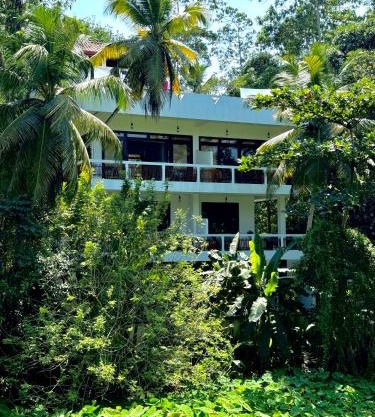 CoCoSuRf House, Luxury among palms