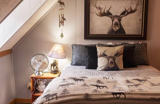 Columbine Lodge-4br Mountain Retreat Near Durango