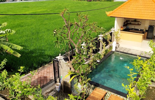 Cómoda casa de huéspedes con piscina al aire libre y vista al campo de arroz