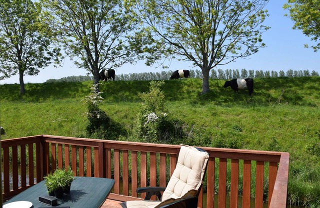 Cómoda casa de vacaciones en Schoondijke con terraza