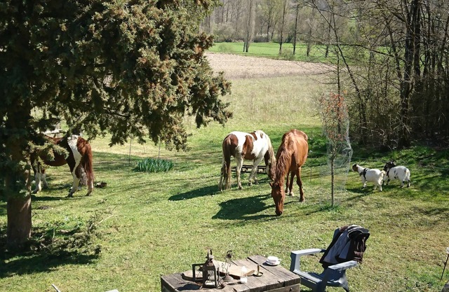 Confortable Casa Tranquila en el campo Porte-du-Quercy para 8 personas