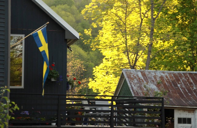 3 Miles to Dreams Park: Chic & Cosy Nordic Farmhouse Sleeps 6