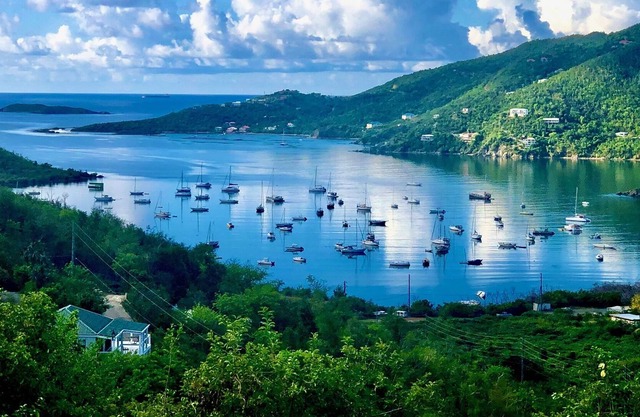 Coral Livin ': disfruta de las vistas, las suaves brisas y el encanto de Coral Bay