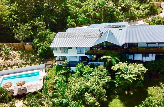 Copas de los árboles villa Byronbay