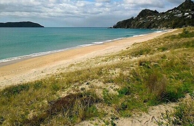 Acogedor y elegante en Ocean Beach - Tairua Holiday Home