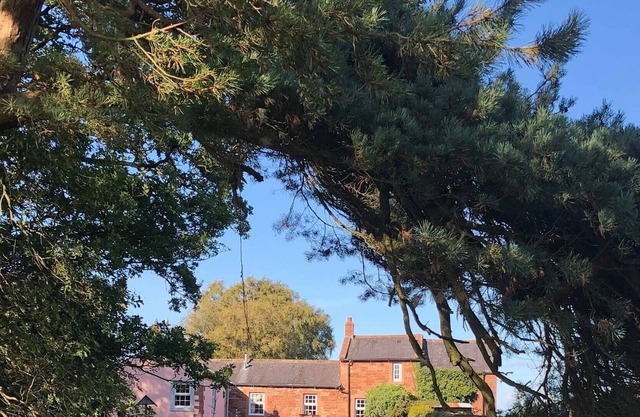 Cosy Cottage, lleno de carácter ubicado junto a un Woodland Drive