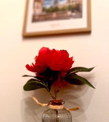 Cosy Studio - Quartier Châtelain