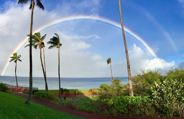 Cottage 1B- El mejor Lanai frente al mar en Molokai! ¡Mira el Video Tour!