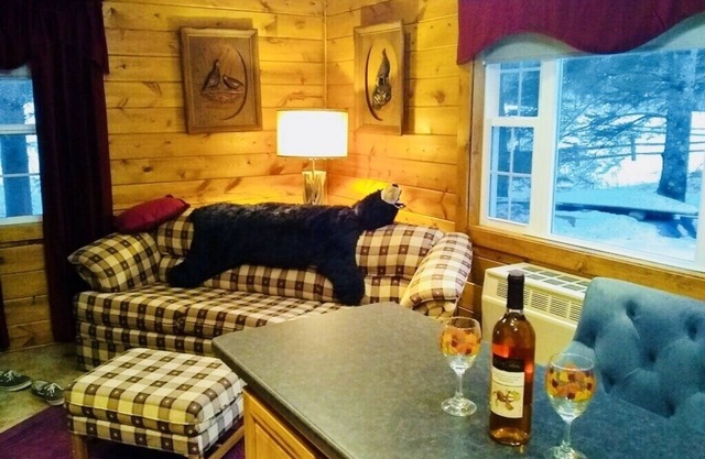 Acogedora casa hermosa en el lago Maple!