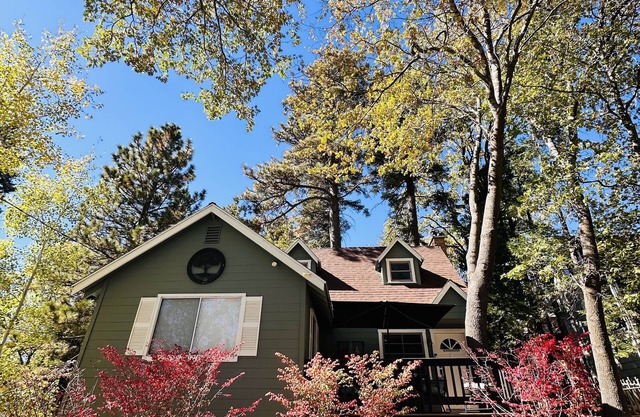 Cozy Cottage, dog friendly, fireplace, beautiful outdoor seating!