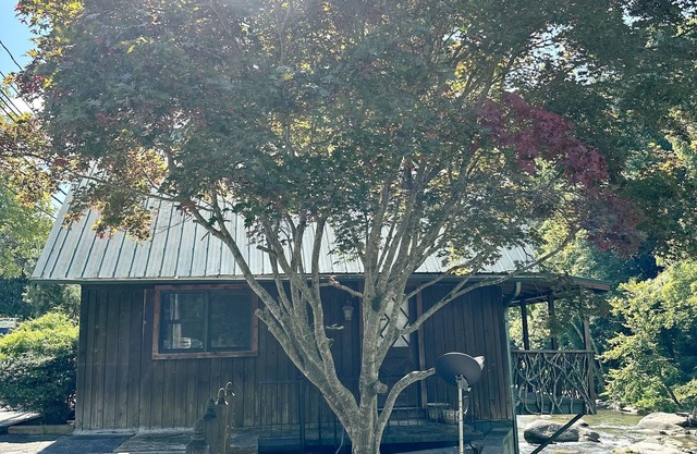 Cozy River Cabin with river access and minutes from Chimney Rock state park