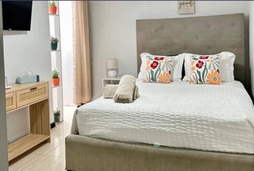 Cozy Room in Central San Jos with Private Entrance
