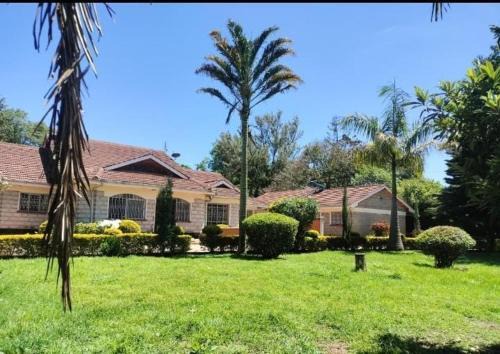 Cozy Studio at Elgon Hill Homes