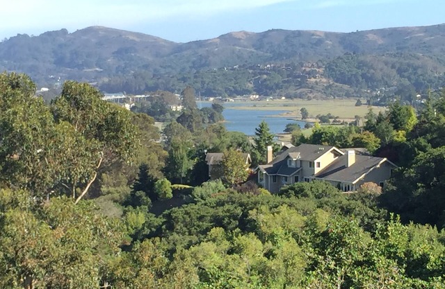 Estudio acogedor en las colinas de Mill Valley.