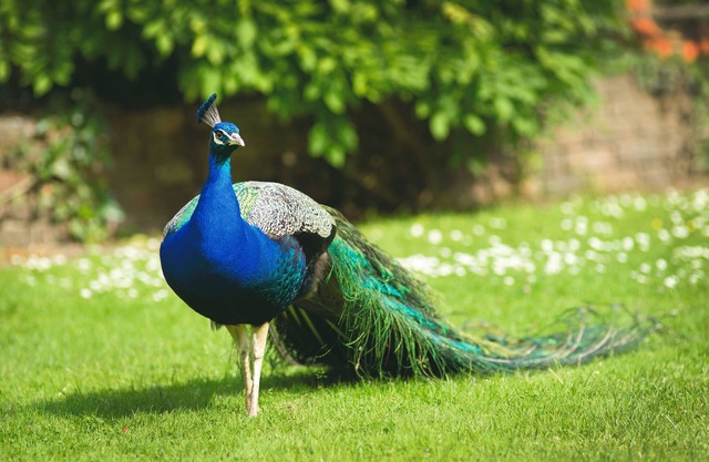 Powdermills Country House Hotel