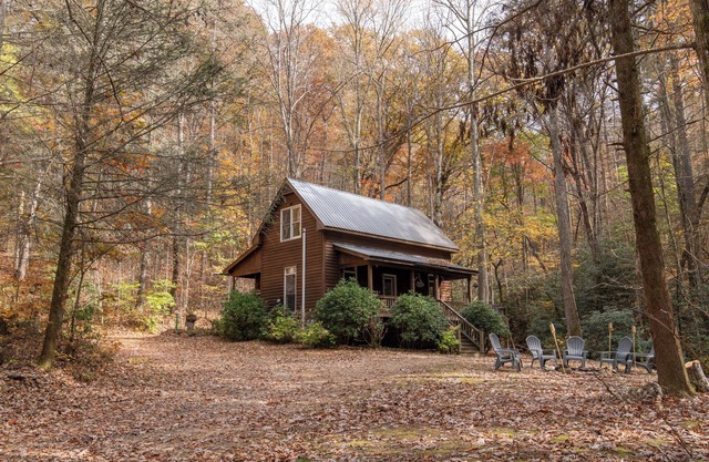 Creekside Cabin in National Forest! -Dog Friendly -Walk to Waterfall