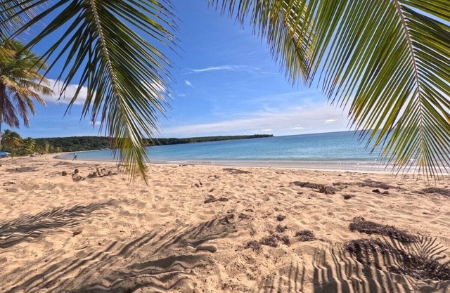 Crescent Cove 82 - Newly renovated beach villa in Palmas del Mar