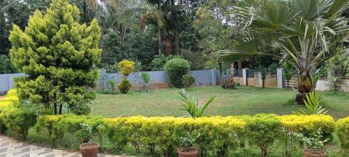 Daisy villa Home stay