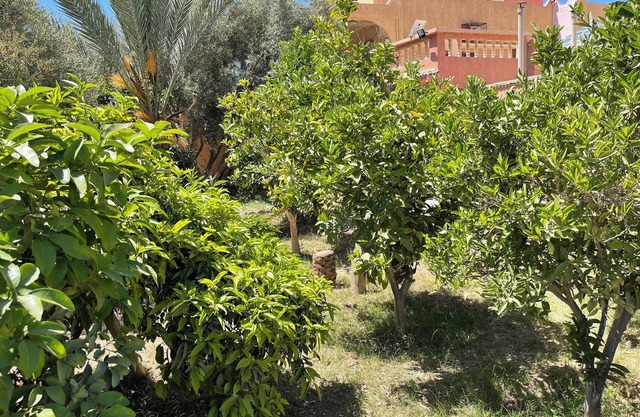 Dar Mona– Your Tranquil Escape Near Taroudant Just 3km from Taroudant center