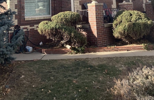 Denver Tudor Walk to great shops and restaurants 1.5 miles from downtown Denver