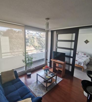 Departamento central Viña del Mar