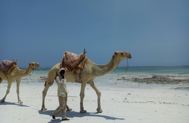 Playa Diani Kenia. Un pequeño paraíso en la Tierra