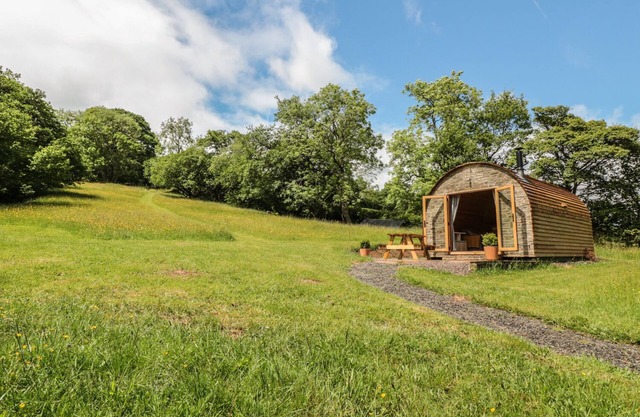 DINGLE DEN, admite mascotas en Craswall, Herefordshire, Ref 986635