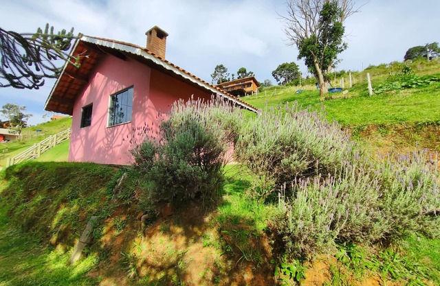 Diniz Dream Cottage 1