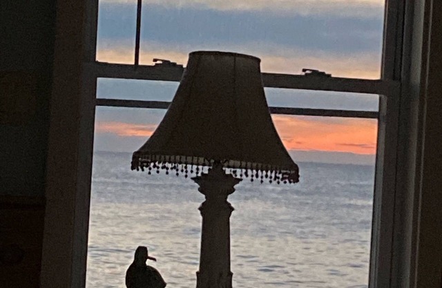 Available 50% off Oceanfront Winter rental