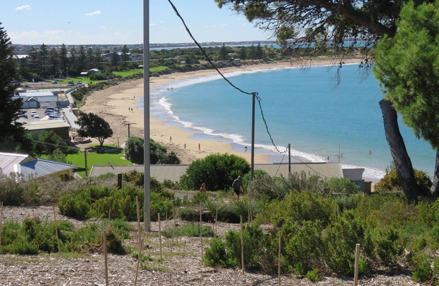 DOLPHIN 10 en Horseshoe Bay, Port Elliot