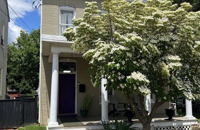 Downtown Frederick Charm w/ Modern Comfort - Walk to Market St! Rare SF w/ Yard