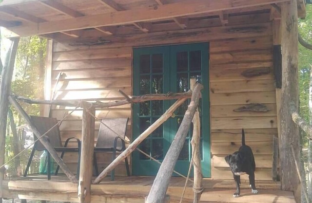 Driftwood Treehouse Cabin w/Fireplace & Privacy
