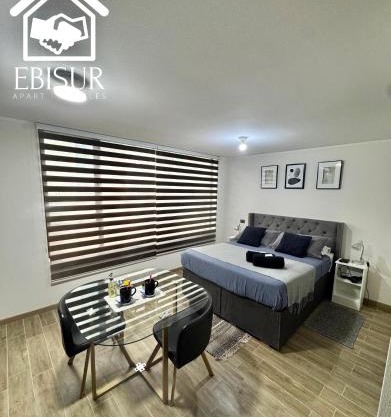 EBISUR Apart - Hoteles MAIPU 2